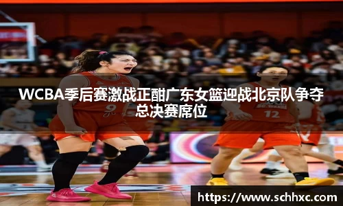 三亿体育有限公司