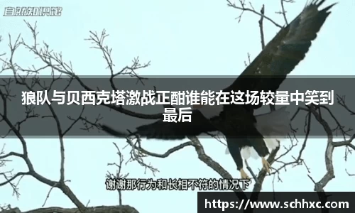 三亿体育官方网站