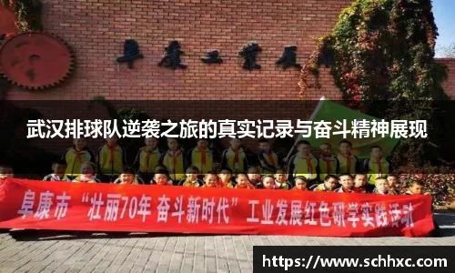 三亿体育有限公司